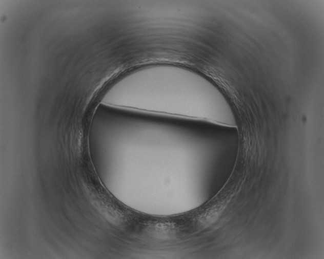 X0000086740304200704130739