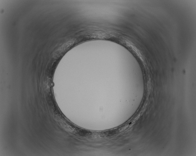 X0000086740305200704130739