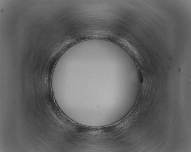 X0000086740306200704130739
