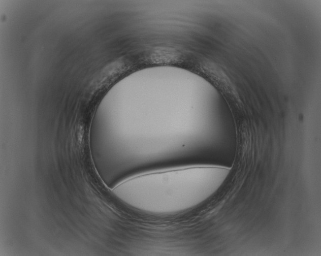 X0000086740308200704130739