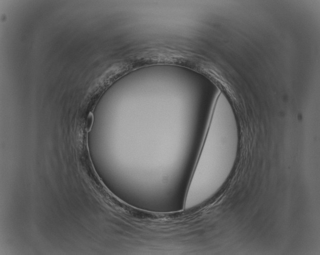 X0000086740309200704130739