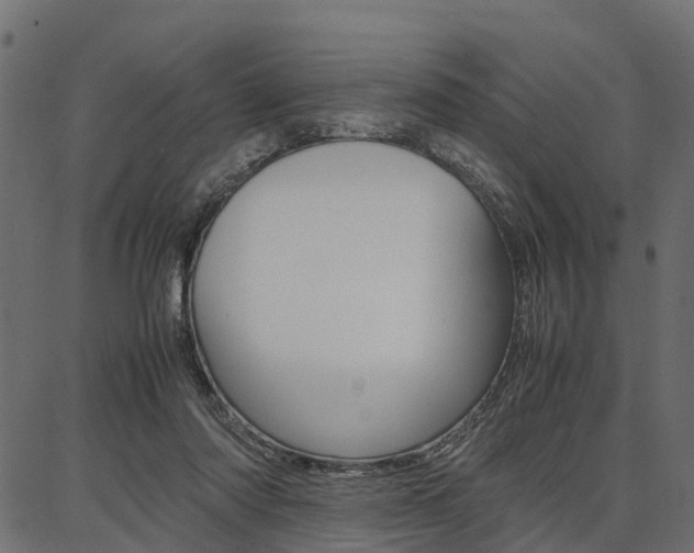 X0000086740310200704130739