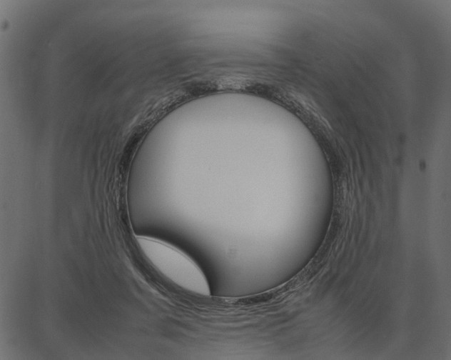 X0000086740311200704130739