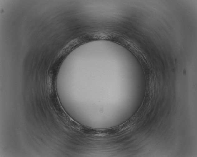 X0000086740312200704130739