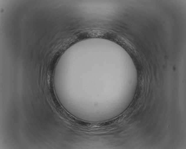 X0000086740315200704130739