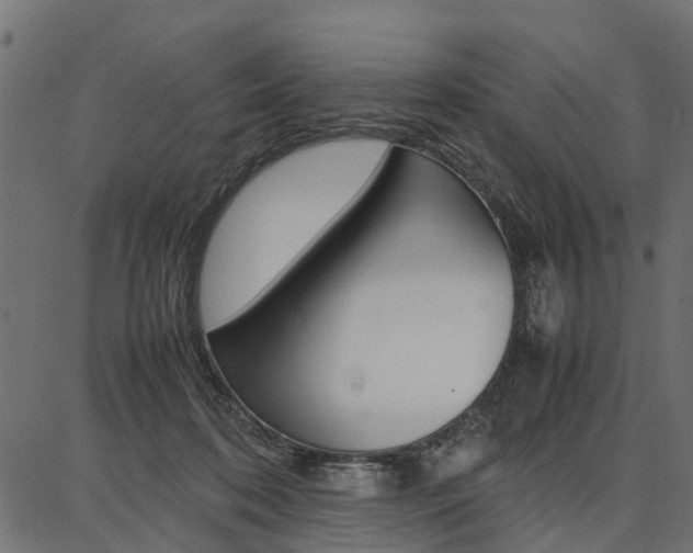 X0000086740316200704130739