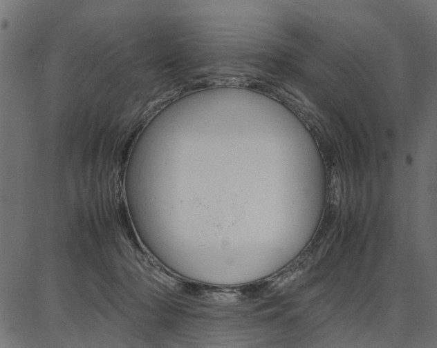 X0000086740318200704130739