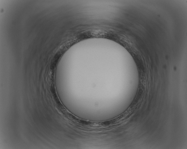X0000086740319200704130739