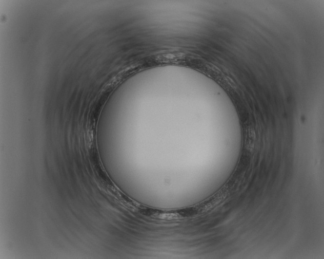 X0000086740324200704130739