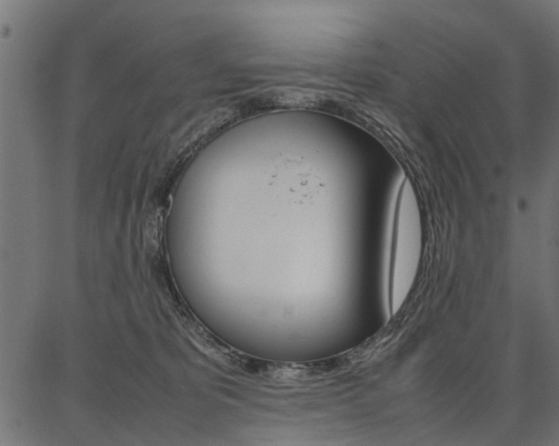 X0000086740325200704130739