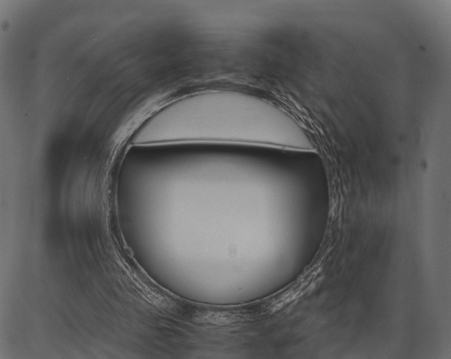 X0000086740341200704130738