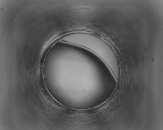 X0000086740344200704130738