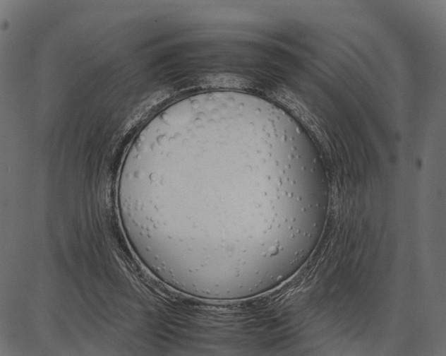 X0000086740347200704130738