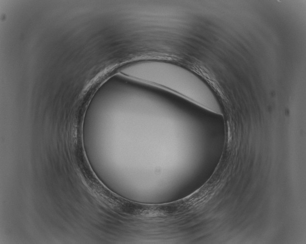 X0000086740348200704130738