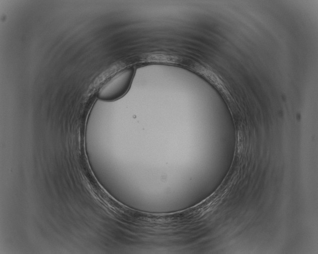 X0000086740349200704130738