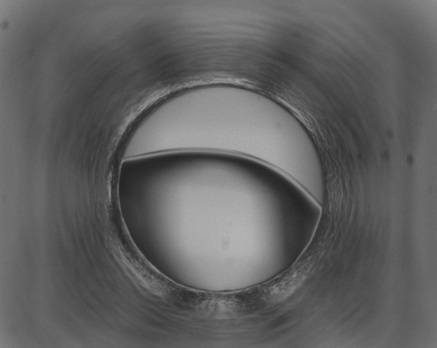 X0000086740350200704130738