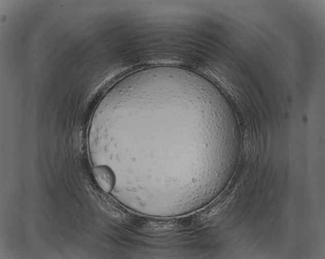 X0000086740351200704130738