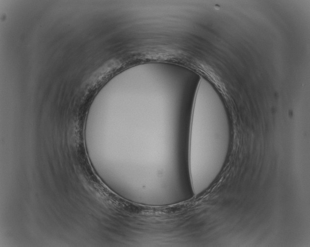 X0000086740354200704130738