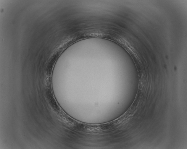 X0000086740355200704130738