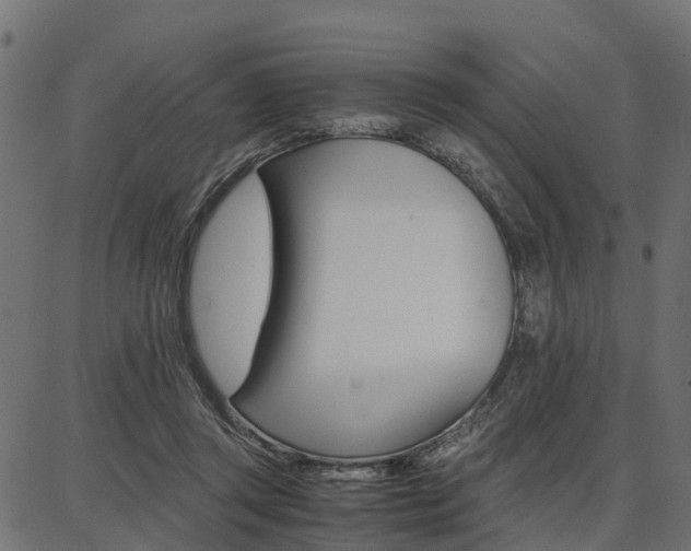 X0000086740357200704130738