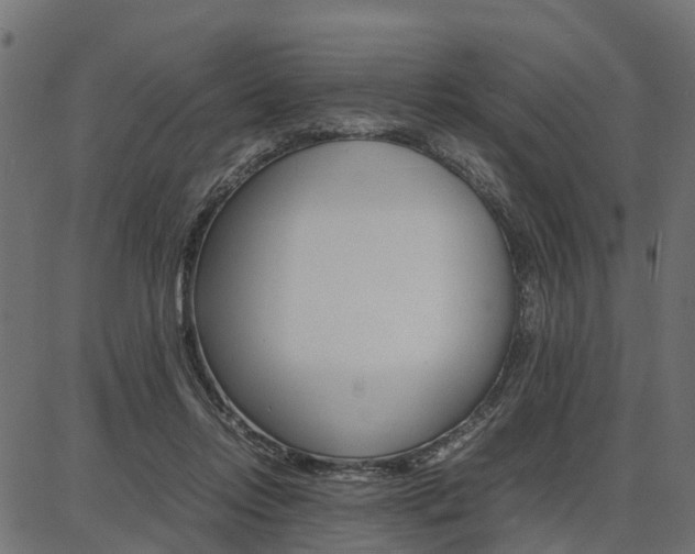 X0000086740358200704130738