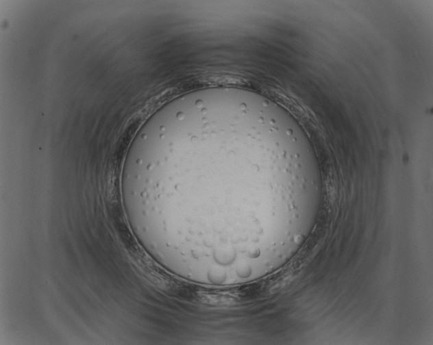 X0000086740359200704130738