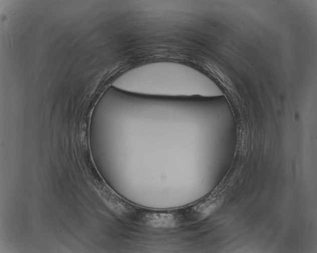 X0000086740361200704130738