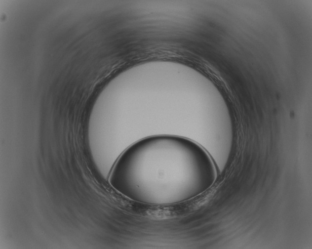 X0000086740362200704130738