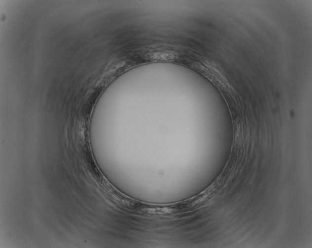 X0000086740363200704130738
