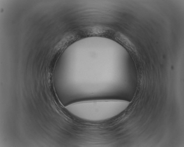 X0000086740366200704130738