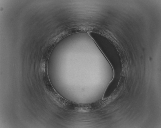 X0000086740368200704130738