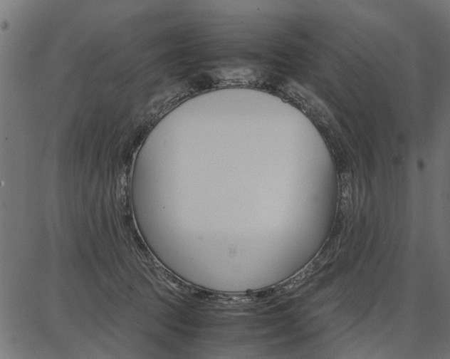 X0000086740369200704130738