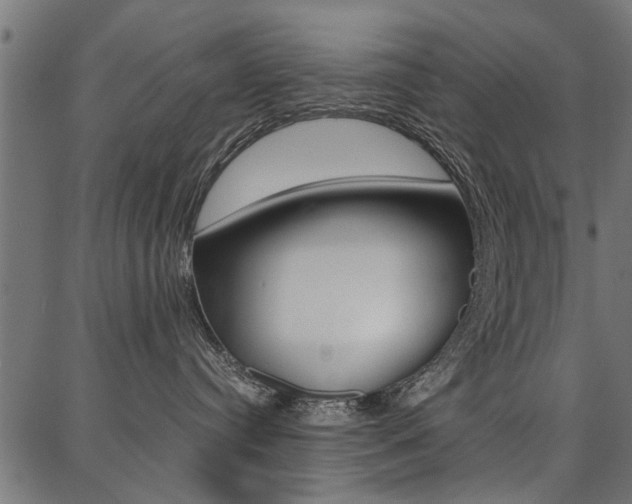 X0000086740384200704130739