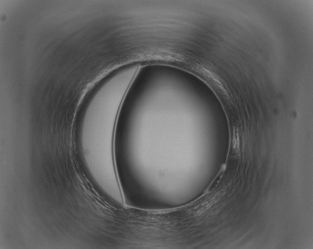 X0000086740388200704130738