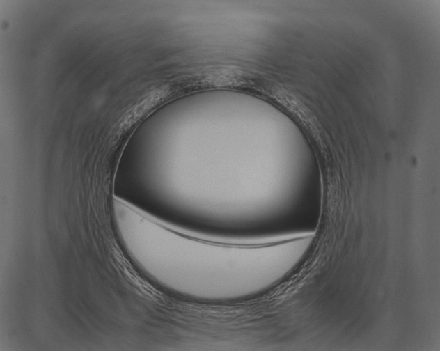 X0000086740393200704130738