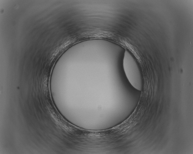 X0000086740394200704130738