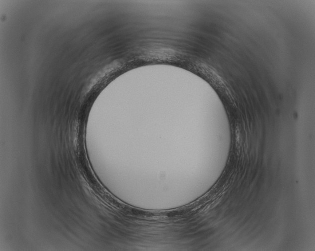 X0000086740396200704130738