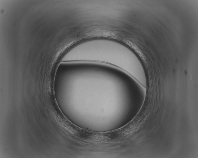 X0000086740399200704130738