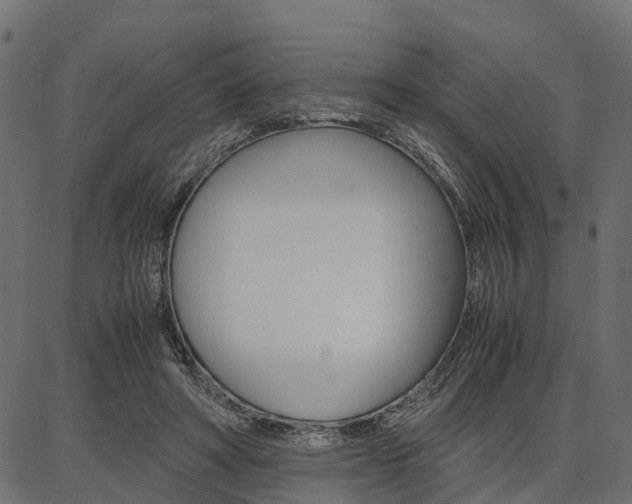 X0000086740402200704130738
