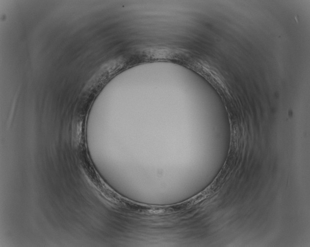X0000086740406200704130738