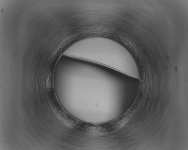 X0000086740408200704130738