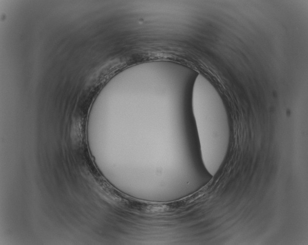X0000086740410200704130738