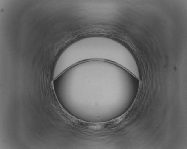 X0000086740411200704130737
