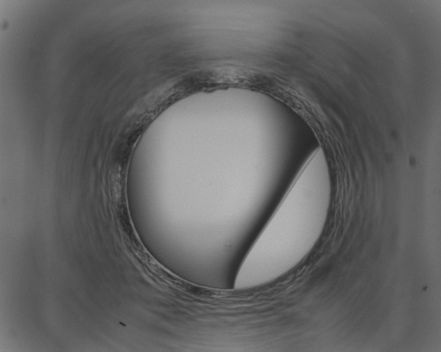 X0000086740413200704130737