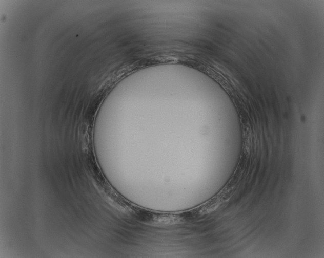 X0000086740414200704130737