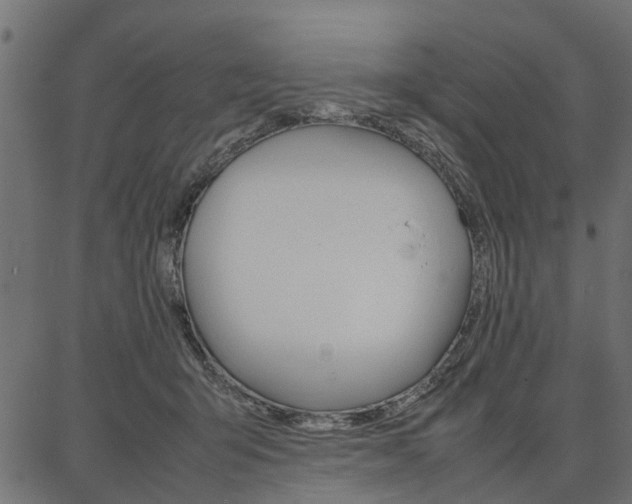 X0000086740415200704130737