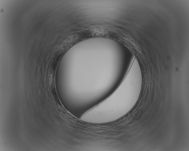 X0000086740417200704130737