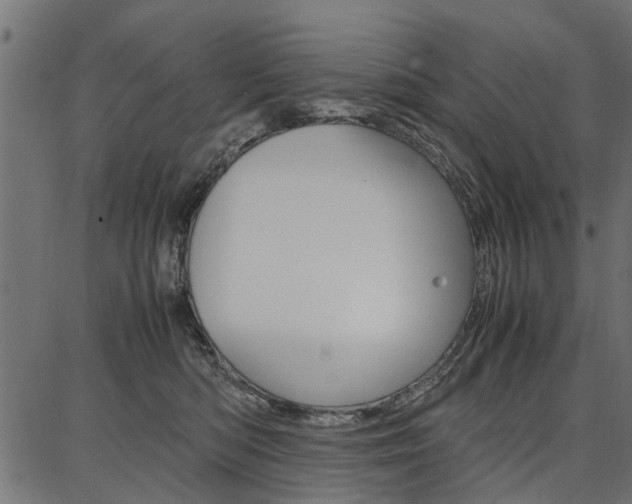 X0000086740422200704130737