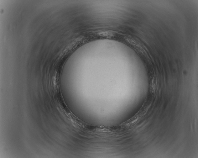 X0000086740424200704130737