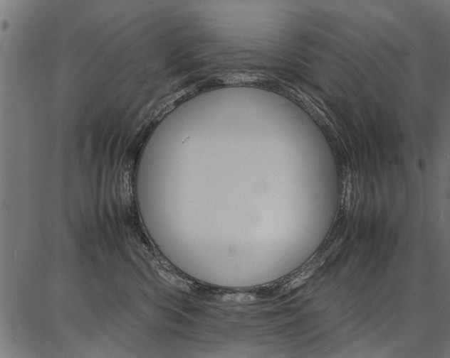 X0000086740426200704130737